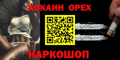 сатива Кингисепп