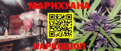 сатива Кингисепп