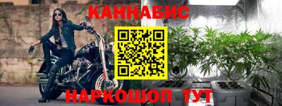 сатива Кингисепп