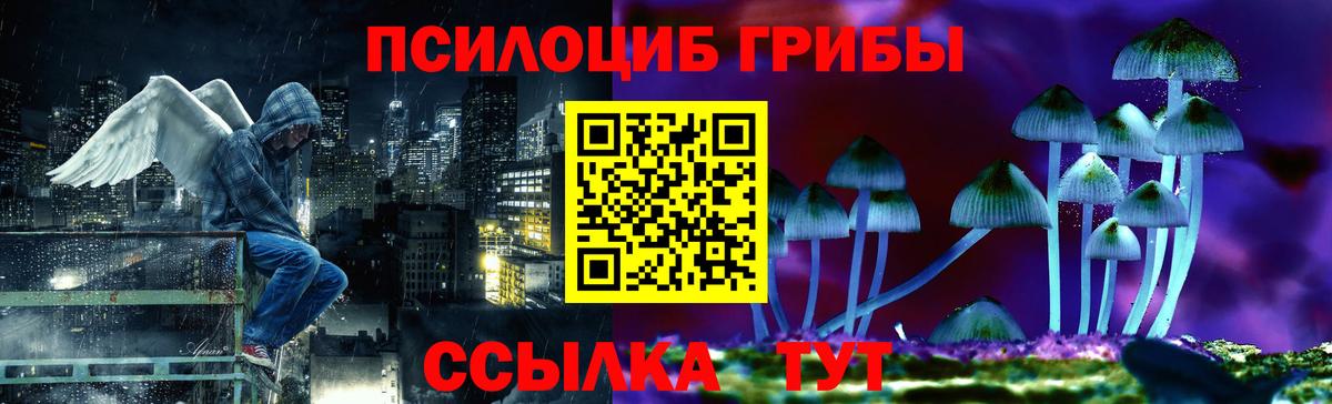Галлюциногенные грибы GOLDEN TEACHER  Вход с VPN  цены наркотик  Элиста 