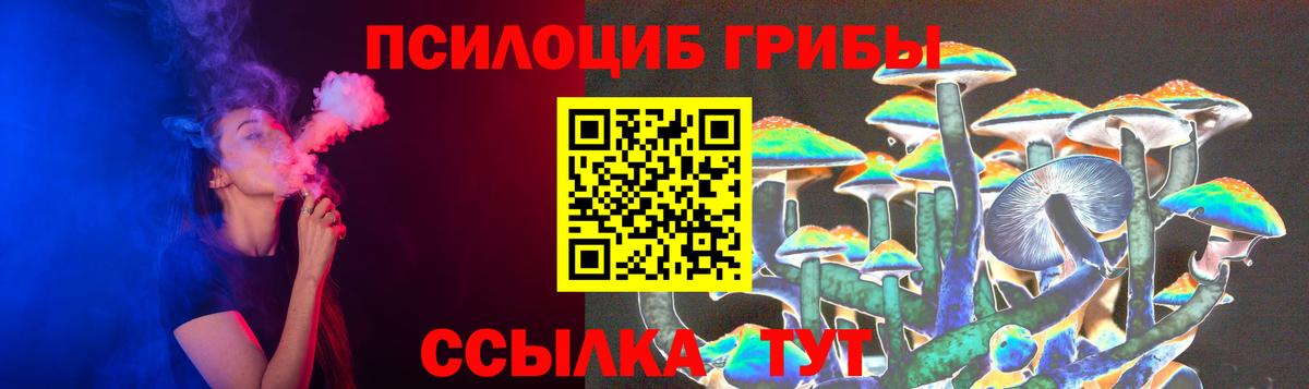 Псилоцибиновые грибы Psilocybe Элиста