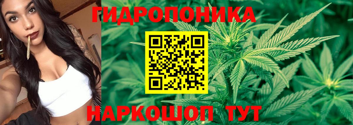 Марихуана тримм  МАРИХУАНА марихуана  Вход с VPN  Элиста  Конопля VHQ 